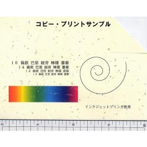 金銀砂子大礼紙 クリーム色 A4判 10枚入りの詳細画像2