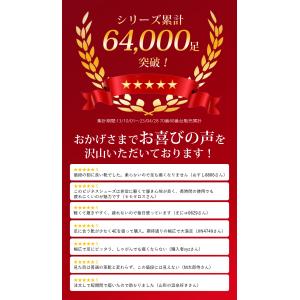 ビジネスシューズ メンズ【2足セットで4600...の詳細画像2