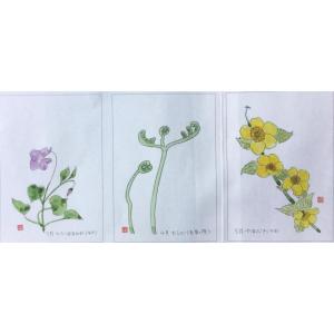 大人の塗り絵はがき 万葉の野の花 線画ハガキ 春3枚の詳細画像1