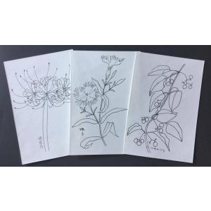 大人の塗り絵はがき　万葉の野の花　秋