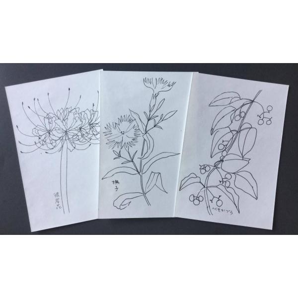 大人の塗り絵はがき　万葉の野の花　秋