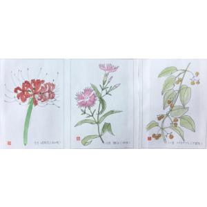 大人の塗り絵はがき 万葉の野の花 秋の詳細画像1
