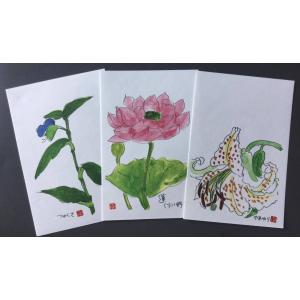 万葉の野の花 はがき 夏3枚の商品画像