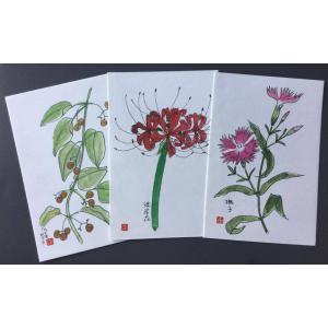 万葉の野の花 はがき 秋3枚の商品画像