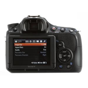 SONY a58 デジタルカメラ専用 液晶画面保護シール 503-0032A｜washodo