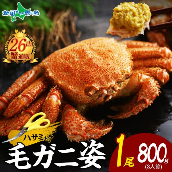 毛ガニ 800g 蟹 ギフト カニ かに ボイル 北海道 毛蟹 特大 蟹味噌 姿