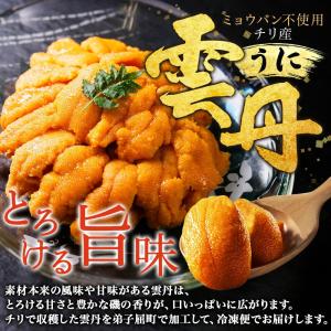 海鮮 二色丼セット うに いくら 海鮮丼 うに...の詳細画像4