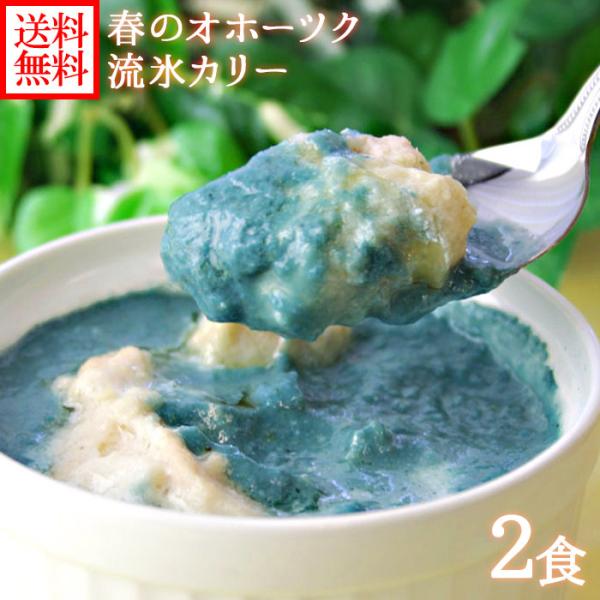 ギフト 春のオホーツク 流氷カレー 2食セット 手焼きナン付(インド料理店クリシュナ)お土産 北海道...