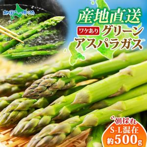 新鮮アスパラ　アスパラガス　訳あり B品 北国からの贈り物 アスパラガス 北海道 訳あり 500g S-Lサイズ混在 5月