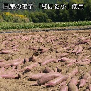 黄金さつま 2個 計200g 干し芋 国産 無...の詳細画像2