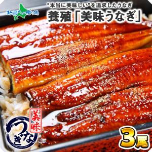 うなぎ ウナギの蒲焼き 3尾 ギフト セット 鰻 蒲焼き 海鮮 プレゼント 内祝い お返し gift｜産直ギフト 北国からの贈り物