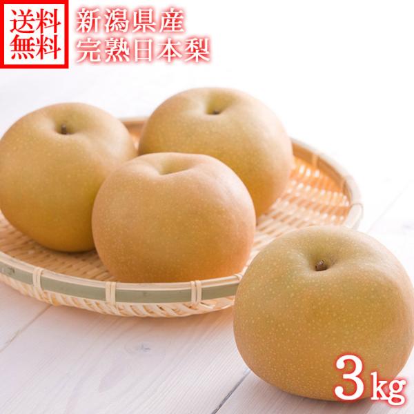 完熟 梨 3kg前後 新潟県産 ナシ フルーツ 旬 果物 梨 幸水 豊水 新高 あきづき 新興 愛宕...