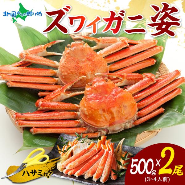 カニ ズワイガニ 姿 ボイル 500g 2尾 かに ギフト カニ 姿 蟹 カニ 蟹姿 ズワイ蟹 ずわ...