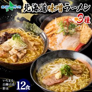 北国からの贈り物 北海道 ラーメンセット 人気店 味噌 3種12食 お土産