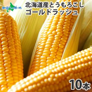 爆買 とうもろこし ゴールドラッシュ 10本 Lサイズ 北海道産 トウモロコシ 甘い 北海道 BBQ バーベキュー 食材 とうきび