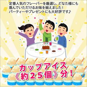 北海道 ジェラート かぼちゃ アイスクリーム ...の詳細画像5