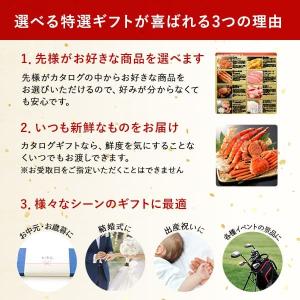カタログ ギフト 選べる特選ギフト商品(ダイヤ...の詳細画像3