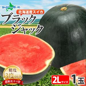 でんすけすいか 黒皮ブランド西瓜 特大限定 1玉入り 約9kg 北海道産 JA