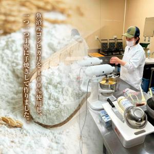グルテンフリー 米粉 玄米粉 ドーナツ(20個...の詳細画像2