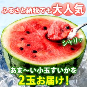 スイカ 小玉すいか 八色原 2玉 糖度13度程...の詳細画像2