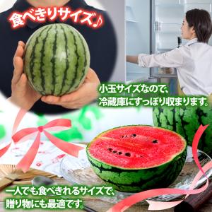 スイカ 小玉すいか 八色原 2玉 糖度13度程...の詳細画像3