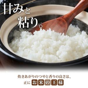 南魚沼産 コシヒカリ 計2kg 特A 特別栽培...の詳細画像4
