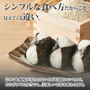 南魚沼産 コシヒカリ 計2kg 特A 特別栽培...の詳細画像5