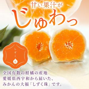 しずく珠 みかん大福 6個 フルーツ大福 愛媛...の詳細画像1