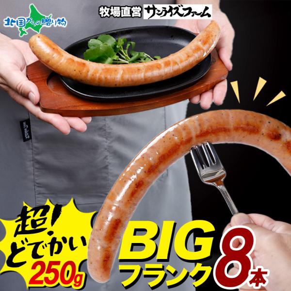 BIGバリューフランク 8本セット ソーセージ 詰め合わせ ギフト 食べ物 オードブル