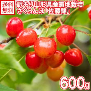 訳あり さくらんぼ 佐藤錦 600g 優品 M混合 山形県産 サクランボ 父の日 ギフト 果物 フル...