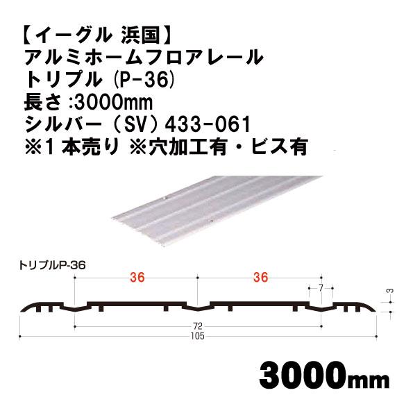 【イーグル 浜国】アルミホームフロアレール トリプル(P-36)長さ:3000mm シルバー（SV）...