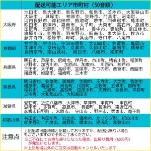 【関西エリア限定】イナバ物置 フォルタ 中型物...の詳細画像5