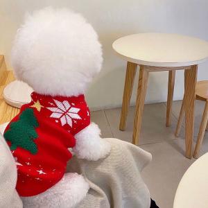 トップス 猫 ペット用 お出掛け おしゃれ お散歩