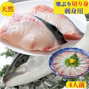天然地魚 王道和食板前職人 ぶり刺身 ネギトロ ぶり切り身 Yahoo ショッピング