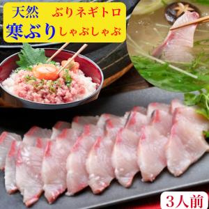 ぶりしゃぶ ブリ ぶり 鰤 天然 しゃぶ ねぎとろ 刺身 鍋 セット 父の日 送料無料 お取寄せ 刺し身 200g ネギトロ 300g  海鮮 ギフト お祝 賞味期限冷凍10日