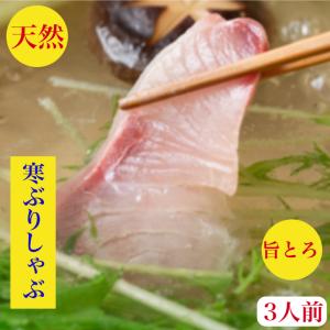 ぶりしゃぶ セット 天然 ブリしゃぶ ぶり 鰤 3人前 送...