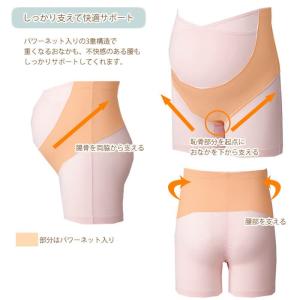 犬印 妊婦帯 マタニティガードル 犬印本舗 カ...の詳細画像2