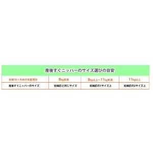犬印本舗 犬印 産後すぐニッパー LLサイズ ...の詳細画像5