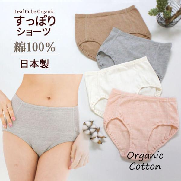 ショーツ レディース 綿100% オーガニックコットン  オーガニック コットン 綿 日本製 すっぽ...