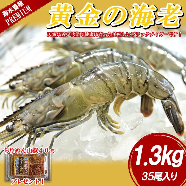 ブラックタイガー 有頭海老 35尾 1.3kg 保水剤不使用  BT 海老 エビ お取り寄せ 冷凍便...