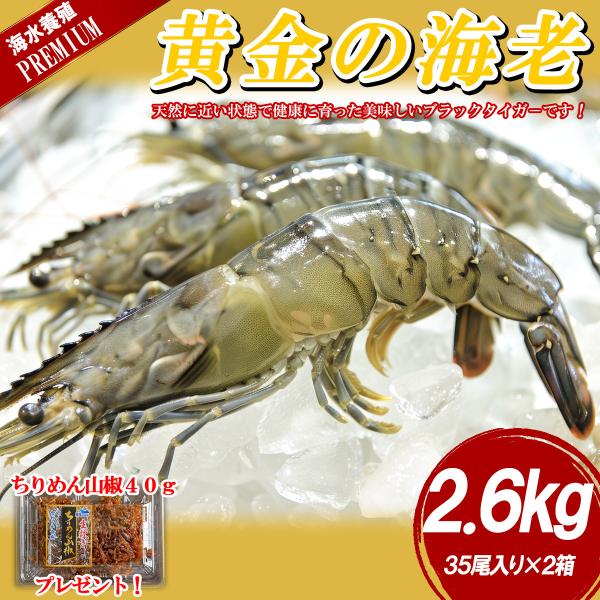 ブラックタイガー 有頭海老 70尾 2.6kg 保水剤不使用  BT 海老 エビ お取り寄せ 冷凍便...