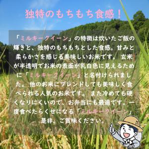 新米 令和8年産 千葉県産 ミルキークイーン ...の詳細画像1