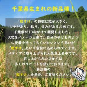 新米 令和8年産 千葉県産 粒すけ 20kg ...の詳細画像1