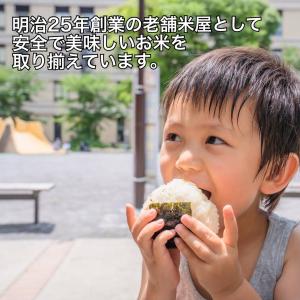 新米 令和8年産 千葉県産 粒すけ 20kg ...の詳細画像2