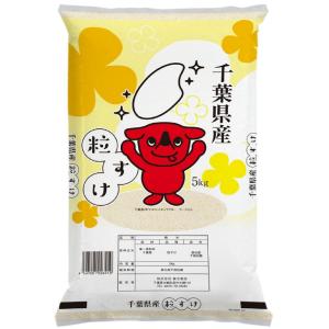 コシヒカリ 新米 令和7年 千葉県産 10kg 白米 精米 米 お米 送料無料