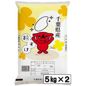 コシヒカリ 新米 令和7年 千葉県産 10kg 白米 精米 米 お米 送料無料