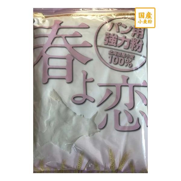 国産強力粉 春よ恋　小袋　1ｋｇ×10【平和製粉】　国産　北海道　強力粉　パン用小麦粉　はるよこい　...