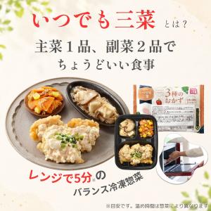 ワタミの宅食ダイレクト いつでも三菜 しっかり...の詳細画像3