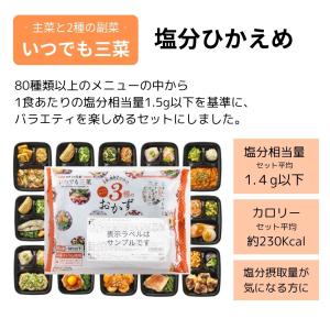 ワタミの宅食ダイレクト いつでも三菜 塩分控え...の詳細画像5