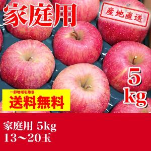 福島のりんご　サンふじ　家庭用 5kg 13〜20玉入り　12月上旬頃発送予定　完熟　訳あり【送料無料】